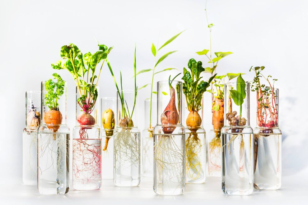 Blog und Aktuelles Klangtherapie Franziska Edelmann in Basel