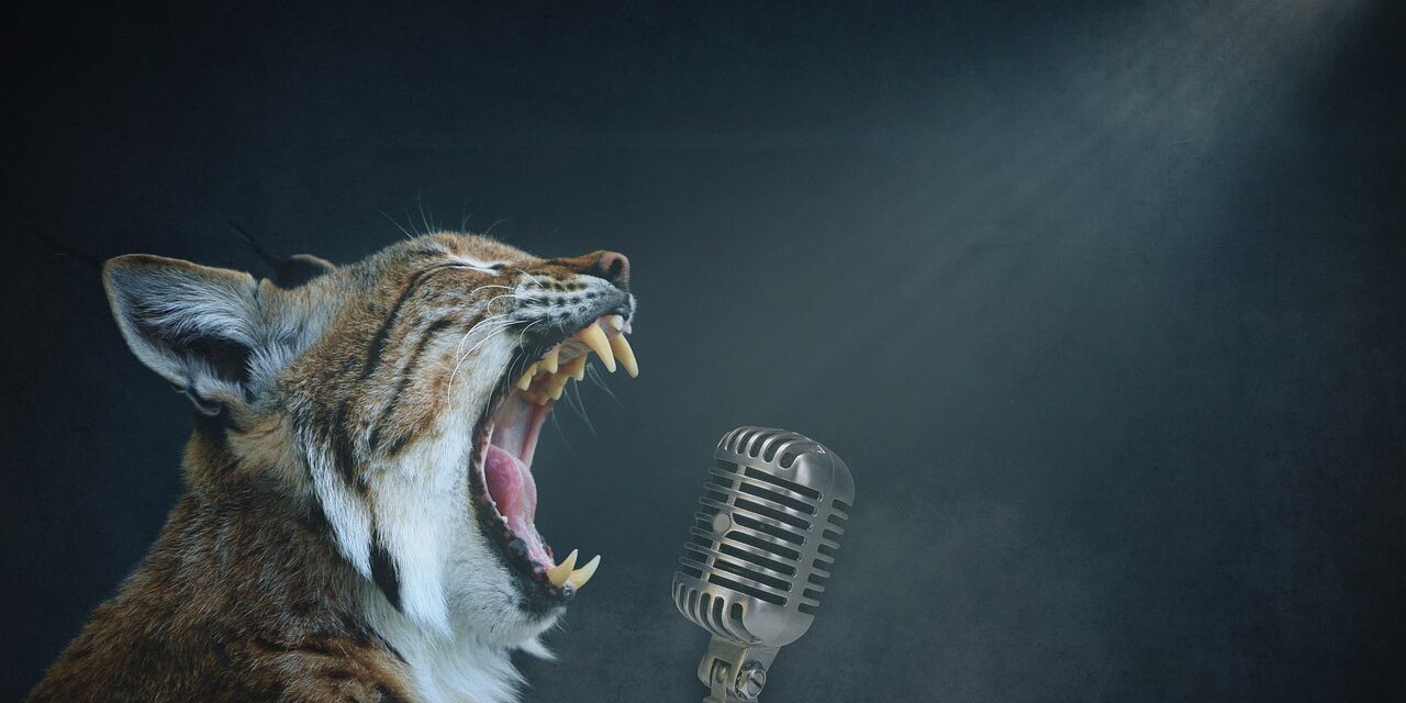 Singen ist gesund Klang-Tipps von Franziska Edelmann Klangtherapiepraxis Basel